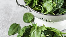 Mladý �penát je výborný syrový. Je skoro �koda ho tepeln� upravovat.