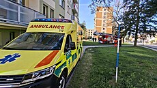 Pacienta snesli z bytu v panelovém dom� v Da�icích pomocí plo�iny hasi��. (25....