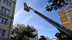 Pacienta snesli z bytu v panelovém dom� v Da�icích pomocí plo�iny hasi��. (25....