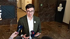 Vládo, dejte ruce pry� od �eské televize a �eského rozhlasu, �ekl ve Sn�movn� lidovecký poslanec Franti�ek Talí�