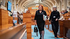 Ministryn� financí a místop�edsedkyn� ANO Alena Schillerová v Senátu (22. dubna...