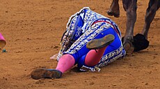 Slavný �pan�lský matador José Antonio Morante Camacho utrp�l vá�ná zran�ní...
