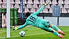 Martin Pastornický, gólman Táborska, se sna�í lapit st�elu v utkání proti...