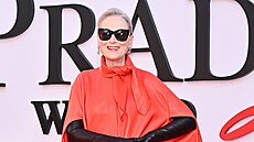 Meryl Streepová na sv�tové premié�e filmu �ábel nosí Pradu 2  v New Yorku (20....