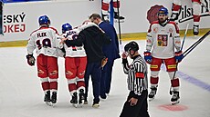 Zran�ný Michael �pa�ek opou�tí led v zápase proti Finsku na Euro Hockey Tour v...