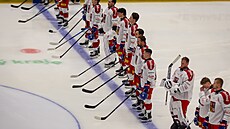Za�átek zápasu �eska proti Finsku na Euro Hockey Tour v �eských Bud�jovicích.