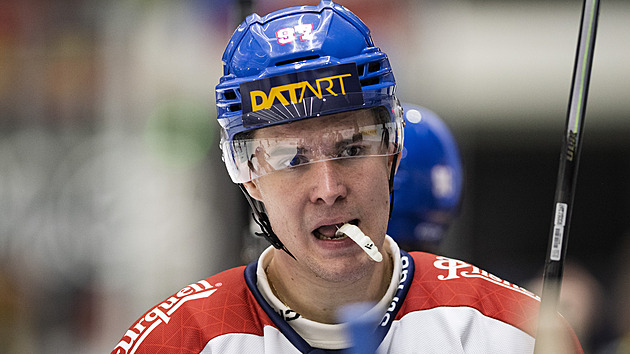 Zraněný Chmelař vypadává z reprezentace, Rulíka ale přesvědčil. Šanci dostal Reichel Zraněný Chmelař vypadává z reprezentace, Rulíka ale přesvědčil. Šanci dostal Reichel
