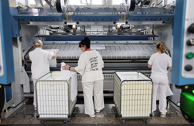 After COVID, laundromats learned to wash again. Today they handle everything from plush toys to five-star luxury