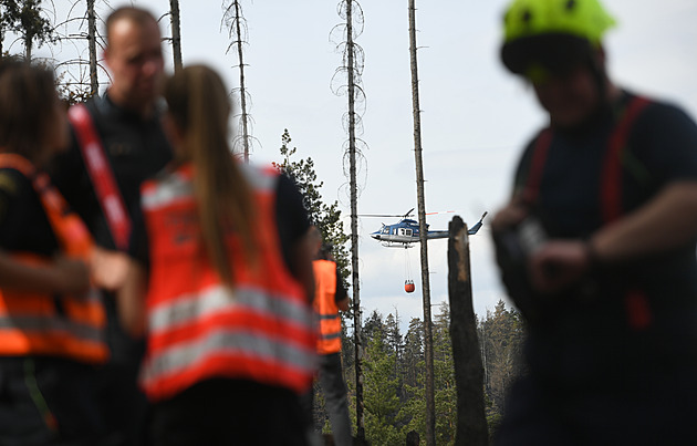 Do Českého Švýcarska se sjeli kriminalisté. Vznik požáru? Máme indicie, říkají Do Českého Švýcarska se sjeli kriminalisté. Vznik požáru? Máme indicie, říkají