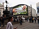 Velká Británie slaví 100. narozeniny Davida Attenborougha. (8. kv�tna 2026)