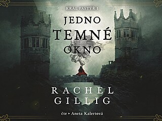 Jedno temné okno