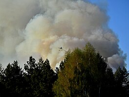 Likvidace po�áru v národním parku �eské �výcarsko. Ho�í u Rynartic, �ásti obce...