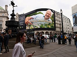 Velká Británie slaví 100. narozeniny Davida Attenborougha. (8. kv�tna 2026)