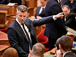 Slavnostní inaugurace nov� zvoleného ma�arského premiéra Pétera Magyara v...