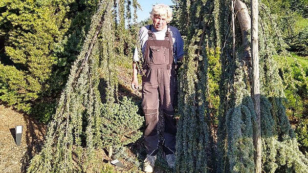 Arboretum V�enory je m�n� zn�mou alternativou k velk�m zahrad�m typu Pr�honice....