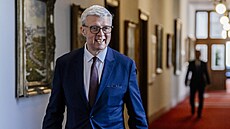 Ministr obchodu Karel Havlí�ek (ANO) p�ichází na sch�zí vlády, která bude...