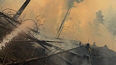 Hasi�i likvidují po�ár v �eském �výcarsku. Ho�í u Rynartic. (2. kv�tna 2026)