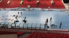 Trenér Petr Fiala.