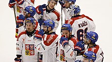 Zklamaní �e�tí hokejisté po domácí porá�ce od �véd�