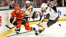 Anaheimský úto�ník Mikael Granlund posílá puk pry� z obklí�ení Vegas.