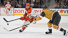 Jack Eichel z Vegas se sna�í p�eru�it akci Tima Washe (42) z Anaheimu.