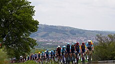 Peloton ve 2. etap� 109. ro�níku italského Gira.