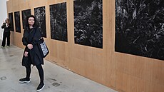V�echny sály galerie Plato  v rekonstruované budov� bývalých ostravských jatek...