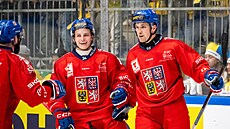 Petr Sikora a Kristian Reichel (vpravo) slaví branku proti �véd�m.