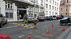 Platné�ská ulice