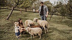 Majitelé chovají ovce a p�stují ovocné stromy. 