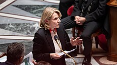 Francouzská ministryn� kultury Catherine Pegardová  na francouzském Národním...