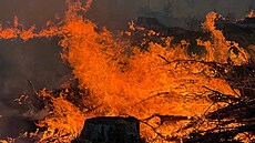 Po�ár lesa v Národním parku �eské �výcarsko u Rynartic (3. kv�tna 2026)