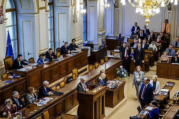 Czech Lawmakers to Discuss Expanding Crime of Non-Payment of Maintenance