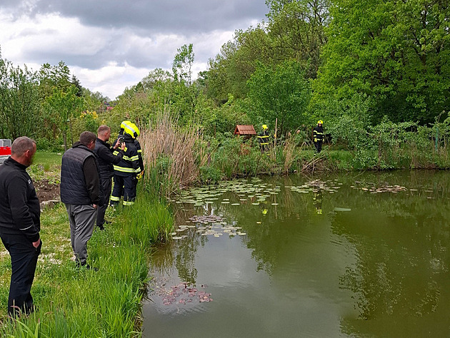Agresivní bobr si dělal nárok na soukromý rybník, napadl psa i dívku