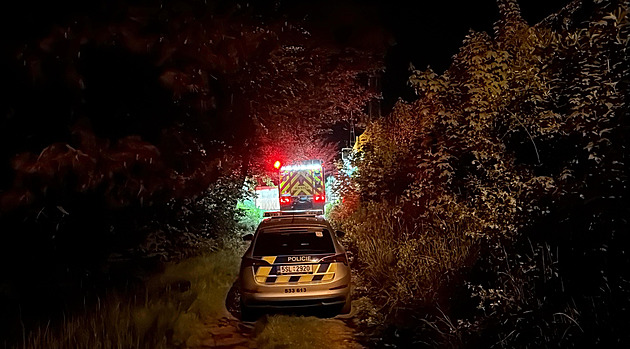 U Říčan zemřel mladík při pádu z vlaku. Podle policie jel zřejmě mezi vagony