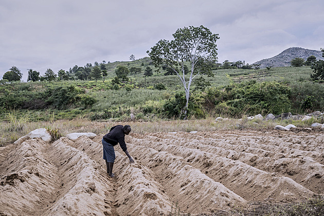 Válka s Íránem sužuje Malawi. Farmářům dochází hnojiva, hrozí hladová sezona