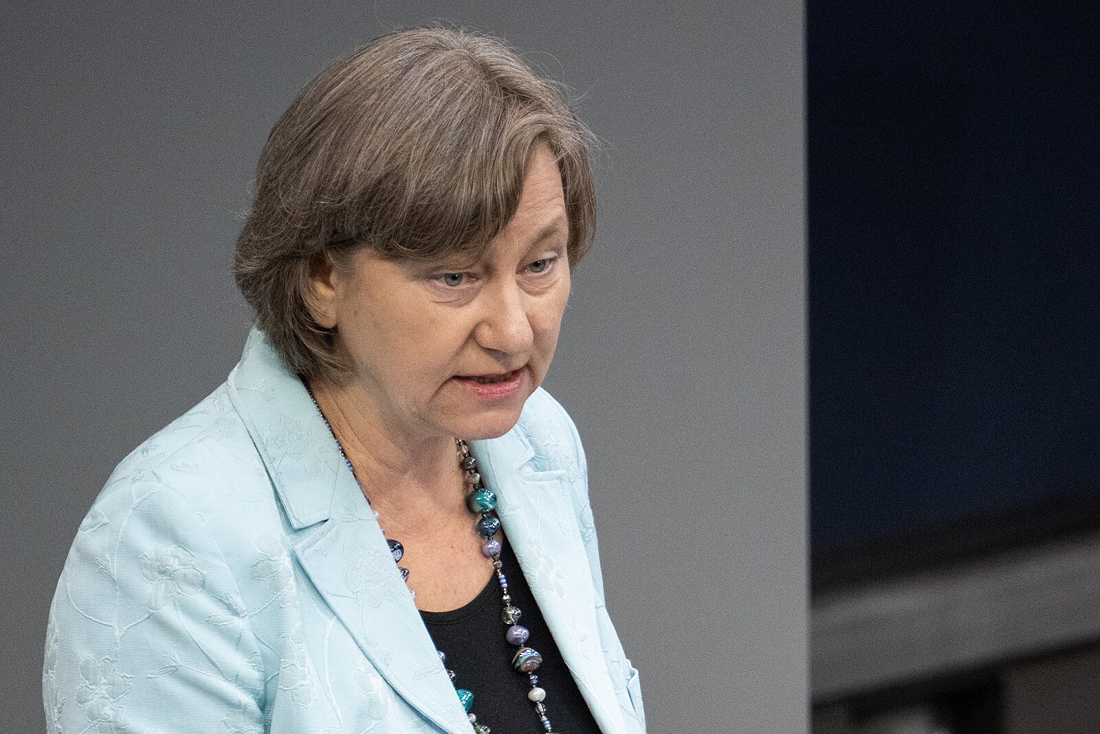 Ať Česko uzná, že vyhnání Němců bylo bezpráví, chtějí Okamurovi spojenci z AfD