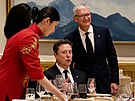 Musk se v �ín� chová jako turista, opíjí se a natá�í na mobil