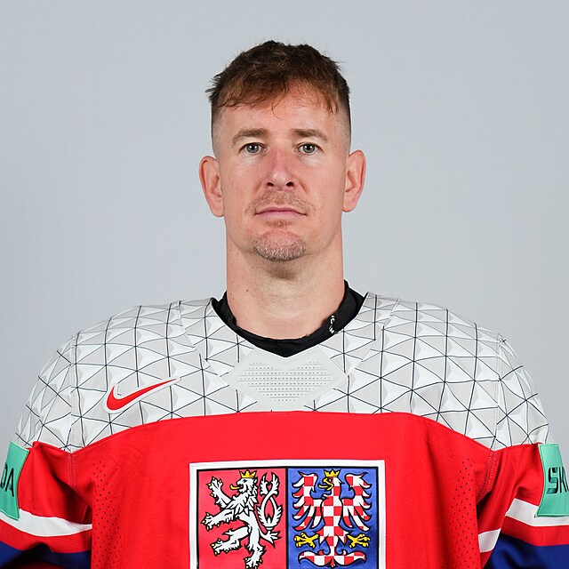 Roman&nbsp;�ervenka
