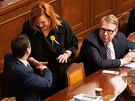 Poslanecká sn�movna projednává mimo jiné zákony týkající se ve�ejných rozpo�t�....