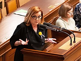 Poslanecká sn�movna projednává mimo jiné zákony týkající se ve�ejných rozpo�t�....