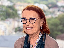 Iva Jan�urov�