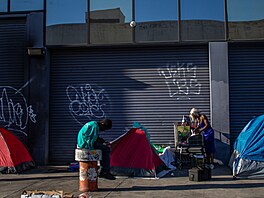Sám o sob� je Skid Row americký slangový název. Obecn� ozna�oval zchátralé...