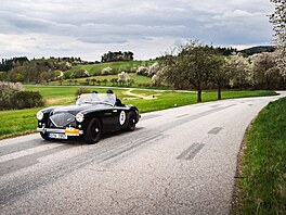 Druhé nejstar�í auto závodního pole, Austin-Healey 100/4 z roku 1953.