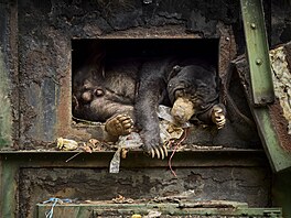 Fotografie roku �Evoluce�, autor Petr Bambousek,  vít�z Czech Nature Photo 2026