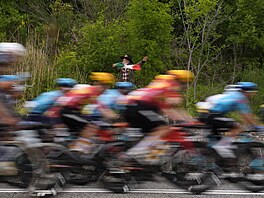 Peloton b�hem sedmé etapy italského Gira