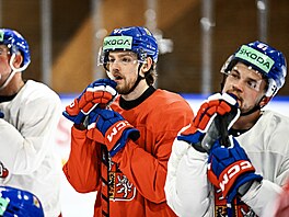 Martin Kaut na tréninku hokejové reprezentace v d�ji�ti �ampionátu.