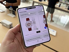 Huawei Pura X Max