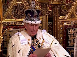 Král Karel II. chce posílit vztahy s Evropskou unií