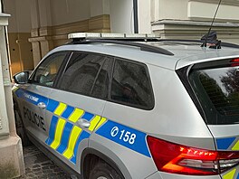 Policie p�ivá�í k soudu mu�e, který se p�iznal ke kráde�i lebky svaté Zdislavy....